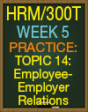 HRM/300T WEEK 5 QUIZ PRACTIC TOPIC 14